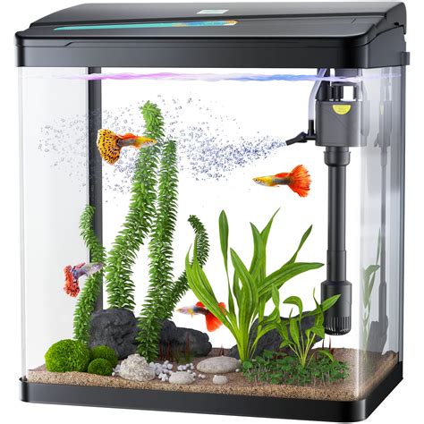 3 gal fish tank|3 gallon fish tank walmart.